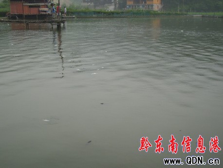 ��ɽһ�����~������Ͷ��? �f�l���~�������У��D��