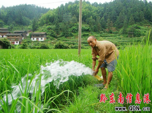 �\����`�lȺ��Ⱥ�� �����~���p�S�գ��D��