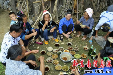 �P����ϵ���կ��Y���M�D��