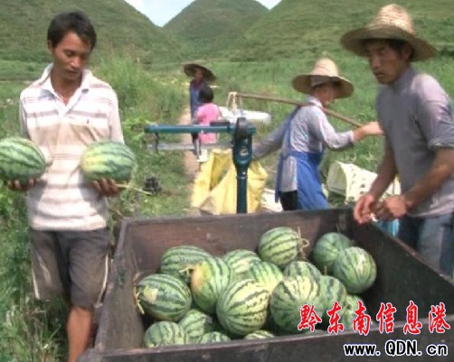 �_(t��i)�����������˲���ޣ��D��