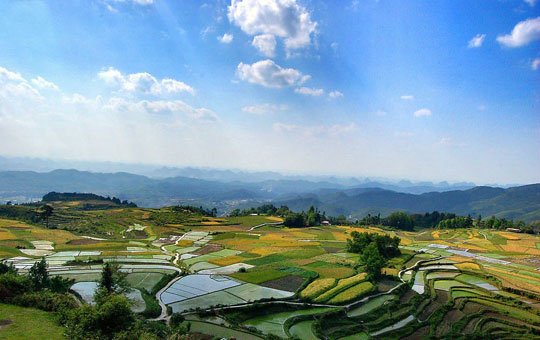 �������� �F������뚢�zӰ��������M�D��