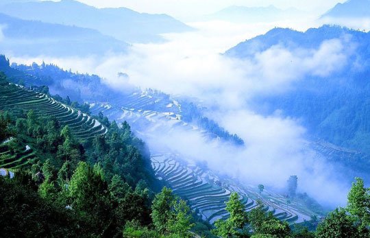 �������� �F������뚢�zӰ��������M�D��