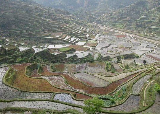 �������� �F������뚢�zӰ��������M�D��