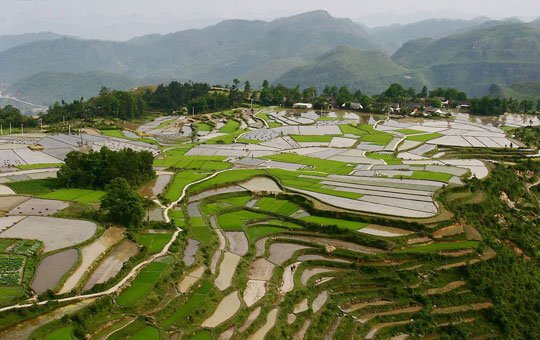 �������� �F������뚢�zӰ��������M�D��