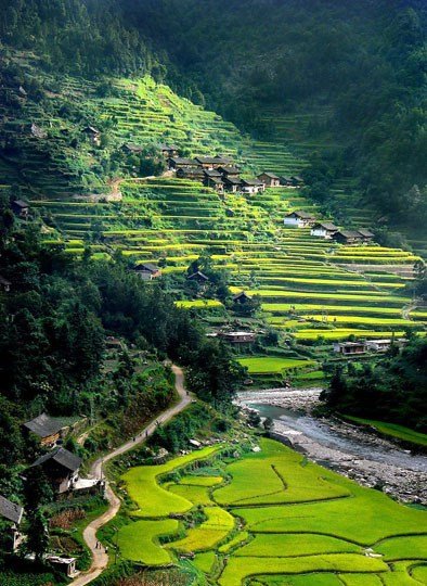 �������� �F������뚢�zӰ��������M�D��