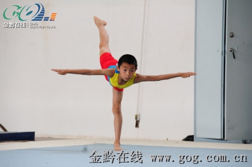 ʡ�ڶ����������\�ӕ��w�ٱ�ِǭ�|�ϴ���F�����˽�(�M�D)