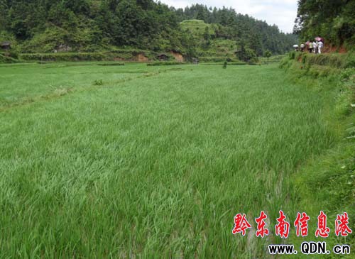 ��ƽ�Ђ��ЙC���Nֲ���I�壨�D��