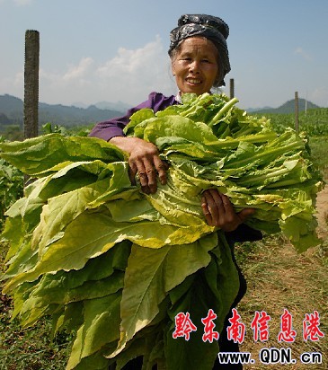 ��կ�����S�� ���������ؔ��(�D)