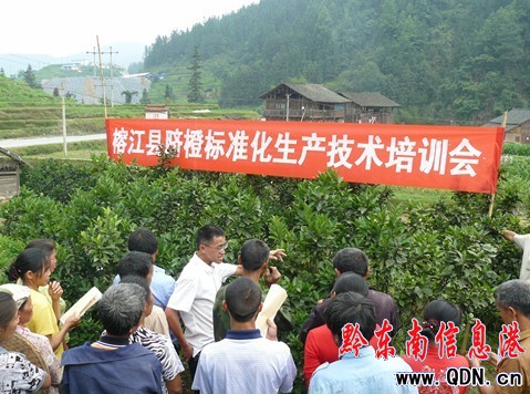 �Ž��Ӵ�Ě�Ș�(bi��o)��(zh��n)�����a(ch��n)���g(sh��)��Ӗ(x��n)���ƏV����(�D)