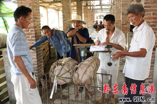 �\���i��ɽ���� �i�Ѓr��6Ԫÿ��q��8Ԫ���D��