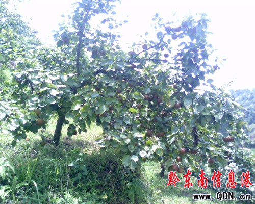 �\�����ع���(ch��ng)�f(w��n)���������M(m��n)֦�^���D��