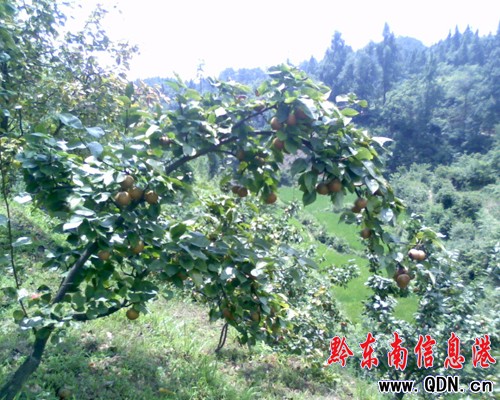 �\�����ع���(ch��ng)�f(w��n)���������M(m��n)֦�^���D��