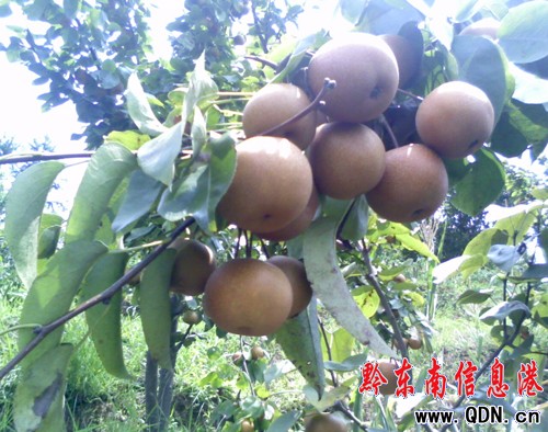 �\�����ع���(ch��ng)�f(w��n)���������M(m��n)֦�^���D��