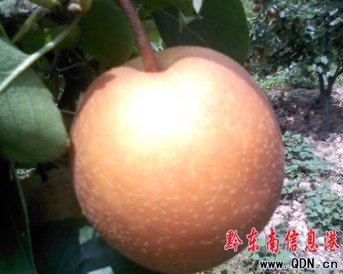 �\�����ع���(ch��ng)�f(w��n)���������M(m��n)֦�^���D��