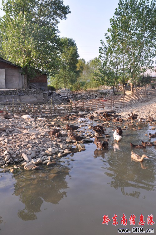 ������������h7.5�f���ܞ� 0.43�f���r(n��ng)����^��