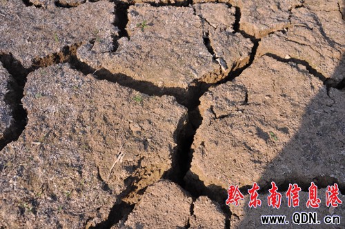 ������������h7.5�f���ܞ� 0.43�f���r(n��ng)����^��