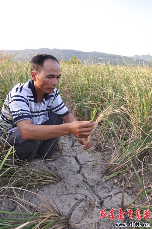 ������������h7.5�f���ܞ� 0.43�f���r(n��ng)����^��