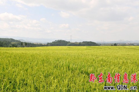 �얣�����ϲҊ����ǧ�ص��S�ՉѾ����D��