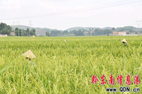 �얣�����ϲҊ����ǧ�ص��S�ՉѾ����D��