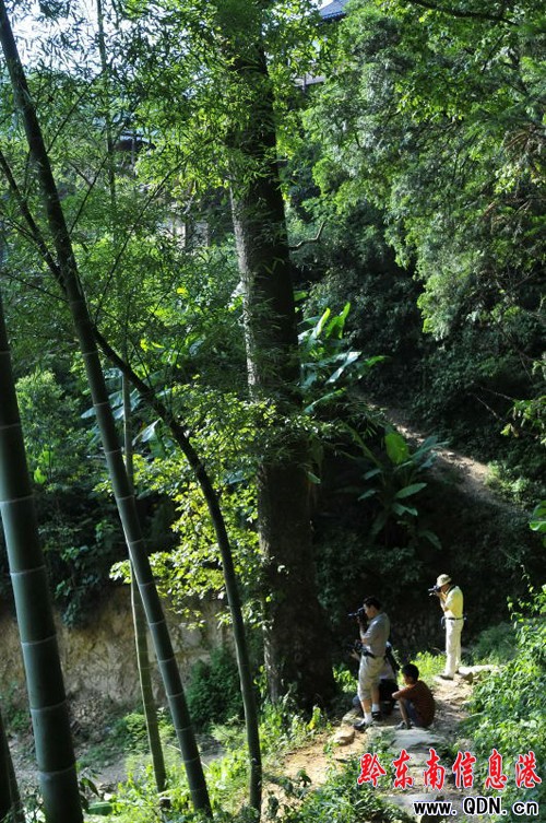 ��������ɯ���ϵ�������կ���D��