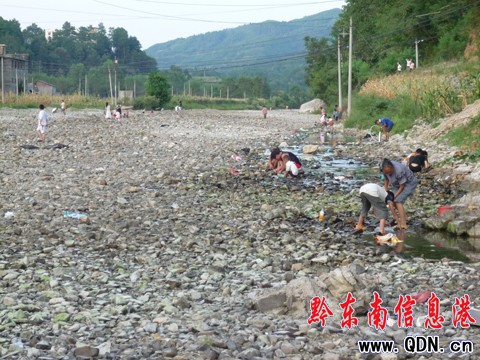 ������F��Ҋ�ɺ����� �r����l�R�^��(�M�D)