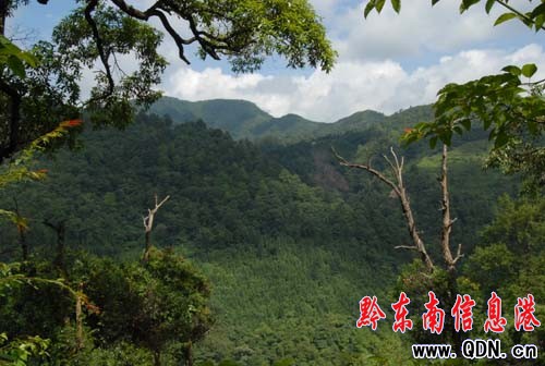 ��Ȼ����ɽ�f��������ԭʼɭ�־��^���M�D��