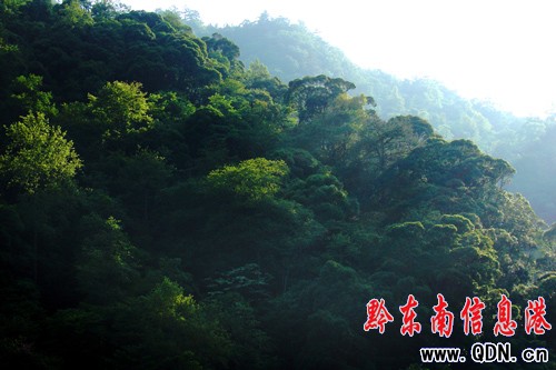 ��Ȼ����ɽ�f��������ԭʼɭ�־��^���M�D��