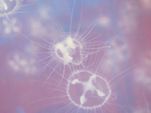 ��ꖺ��һ�ˮĸ������h�ų�ȫ����