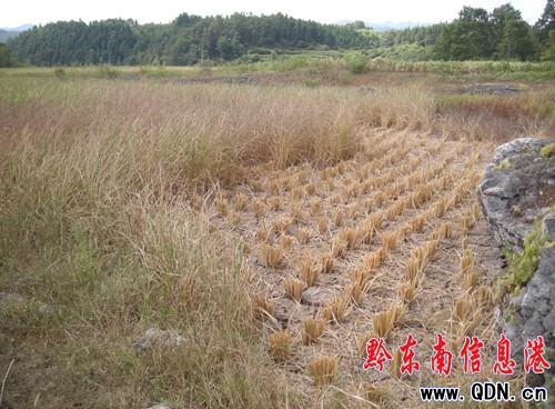 �\���~������B�ոߜ��˿��ɺ����أ��D��