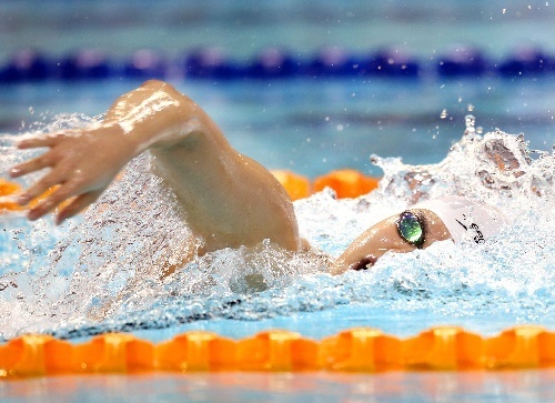 �M�D�����W�Ї�Ӿ܊���M���� ���ȳɾ�������