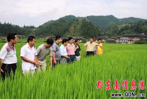 ��ƽ�h�f��ˮ���߮a����ʾ���Ŀ�L�ݺ�