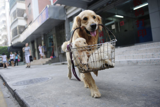 �M�D������׌���ְֵ���������ȥ�u