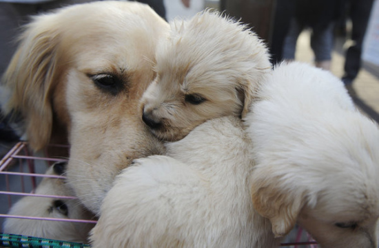 �M�D������׌���ְֵ���������ȥ�u