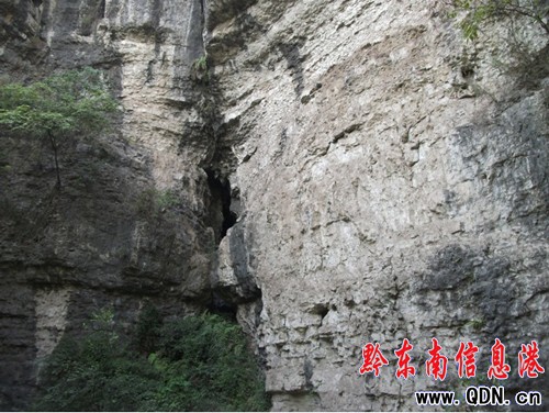 ־Ը�ߡ��񶴡��C�� �I����Ϫ�������D��