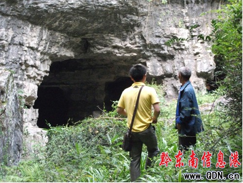 ־Ը�ߡ��񶴡��C�� �I����Ϫ�������D��