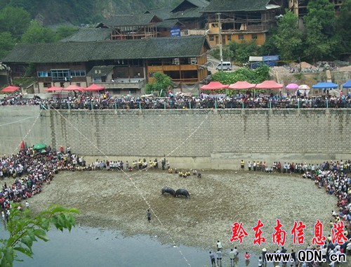 �ɵ���կ�����¹��� ���ʶ�ţ�������f�^��(�D)