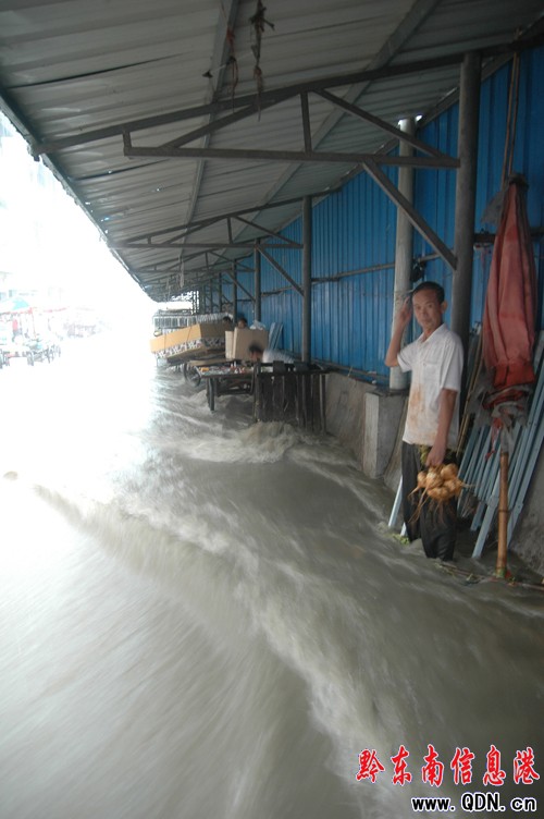 �P�������E������ ���^�ٳɝɇ� ���M�D��