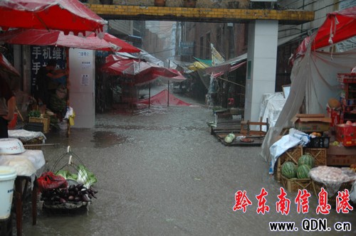 �P�������E������ ���^�ٳɝɇ� ���M�D��