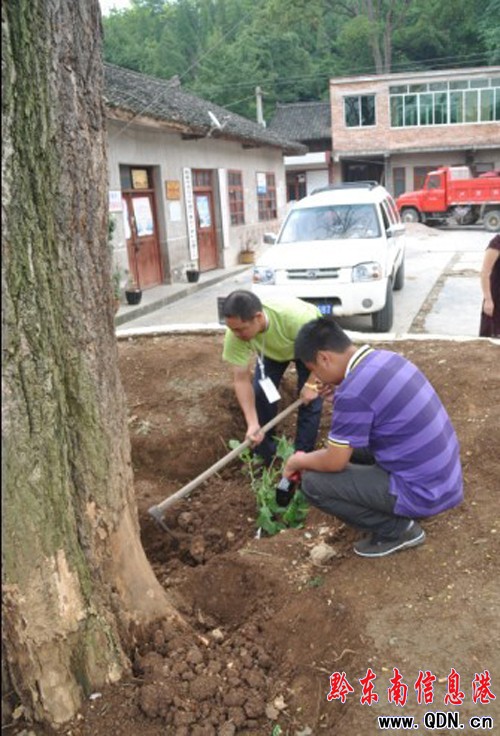 �������y��������Σ ����˾�կ���񣨈D��