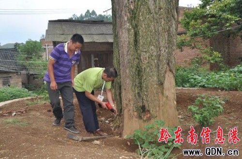 �������y��������Σ ����˾�կ���񣨈D��