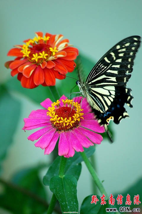 ����r�� �r���`������o�������������裨�M�D��