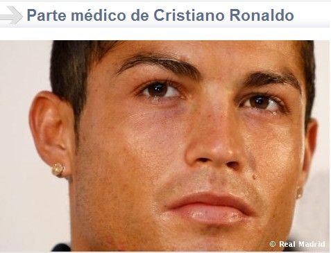 ���R�ٷ������^�Ƃ��� �f���ͰlC�_��ͣ����