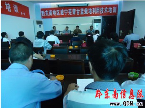 ǭ�|������ʏݼ�ջ@����������Ӗ(x��n)���P�����_