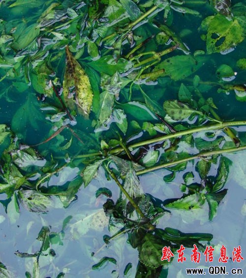 ���Ӿ��������{(l��n)���L(zh��ng)��(sh��)�ã��D��