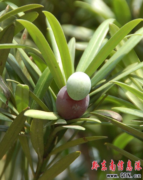 ���ϒ�M��С�_�h������·���v�����p���D��