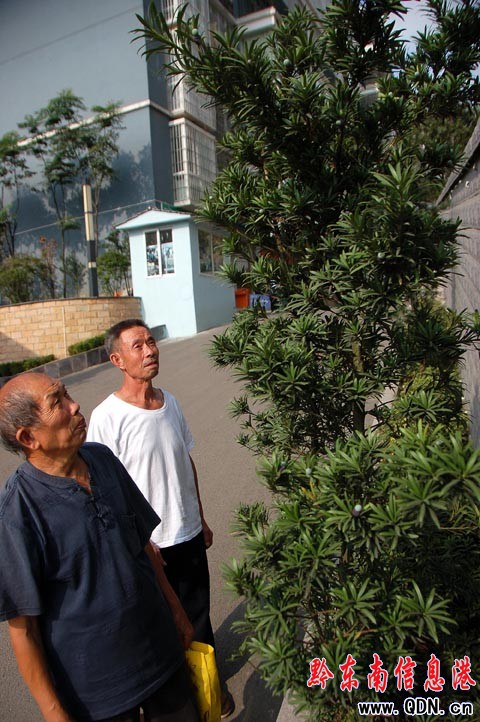 ���ϒ�M��С�_�h������·���v�����p���D��