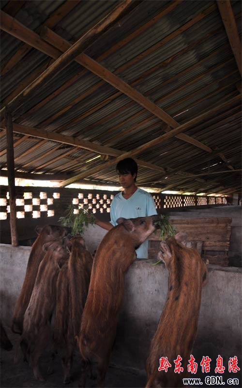 �߿��䡰�Oɽ�� �ؼ��BҰ�i(�D)