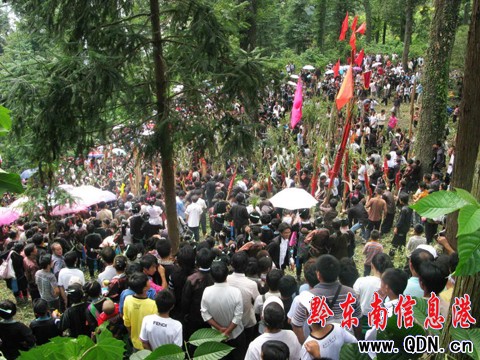 �Ľ����ϲ�^�����׹������M�D��