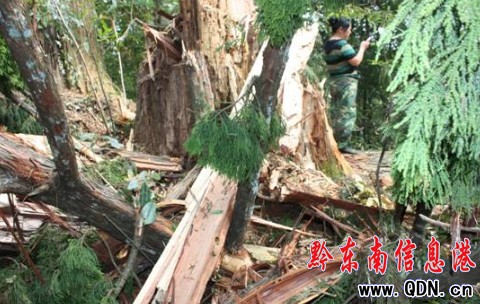 �׹�ɽ���Ҽ���Ȼ���o�^һ��dɼ���ד����D��