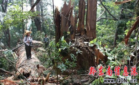 �׹�ɽ���Ҽ���Ȼ���o�^һ��dɼ���ד����D��